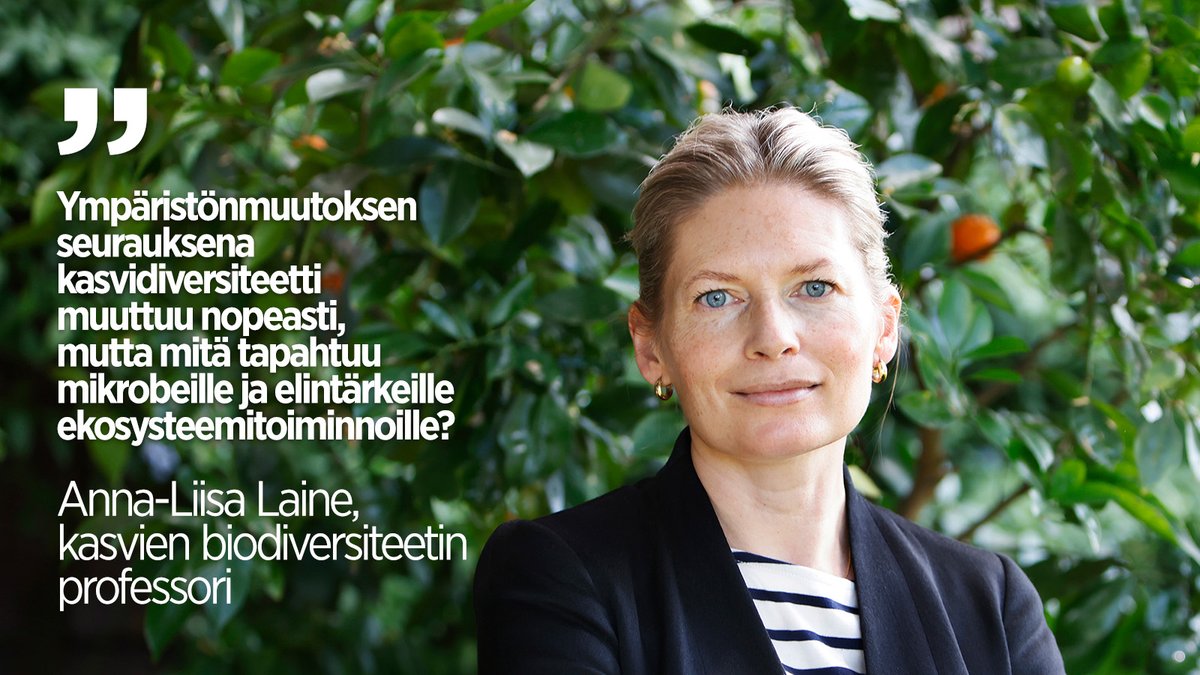 Uudet professorit pitävät juhlaluentonsa tänään yliopiston päärakennuksella klo 14 alkaen! Viikistä mukana ovat kasvien biodiversiteetin professori Anna-Liisa Laine ja 7 muuta professoria 💚 Tule paikan päälle tai seuraa striimiä 👇 

#UudetProfessorit
 
helsinki.fi/fi/tutustu-mei…