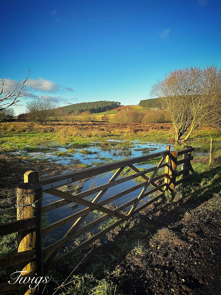 A gate with a view, Cliburn Moss, Cumbria #woodensday