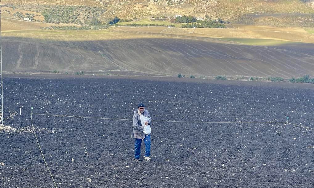 Andrea Visioni tweet media