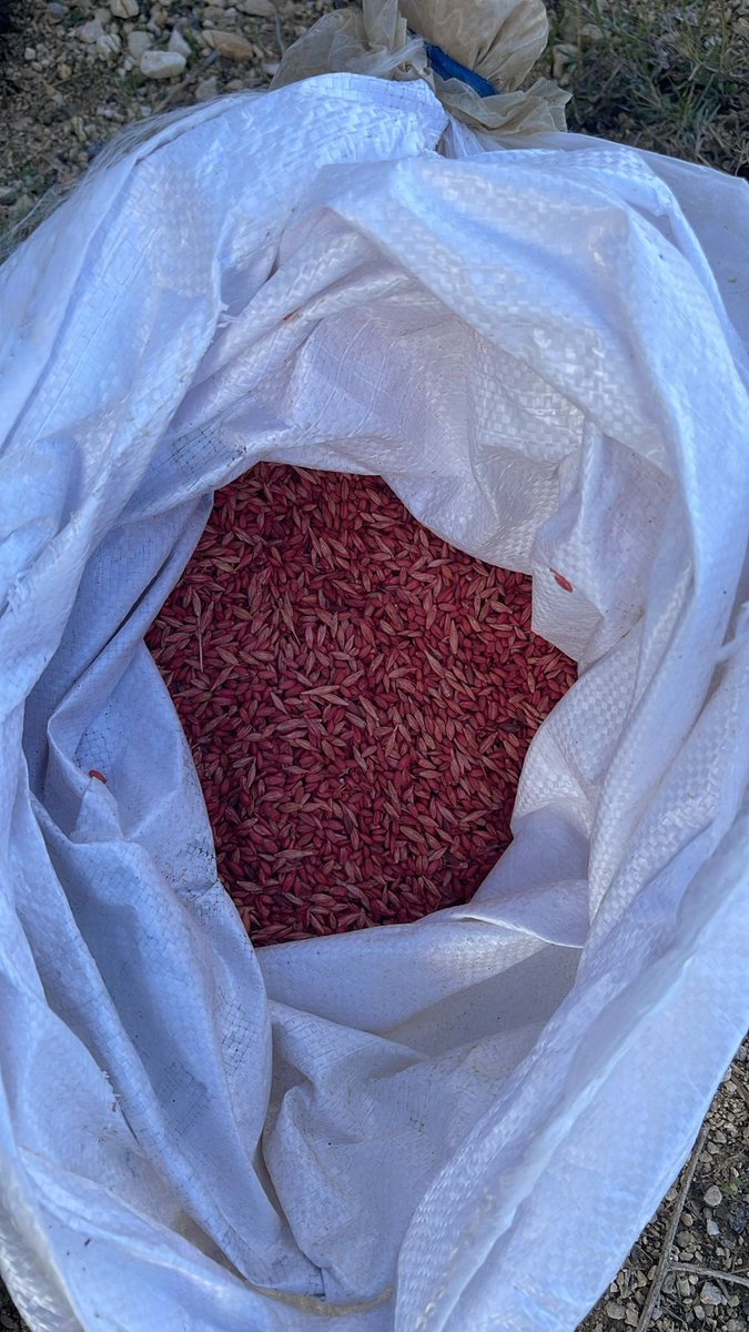 Andrea Visioni tweet media