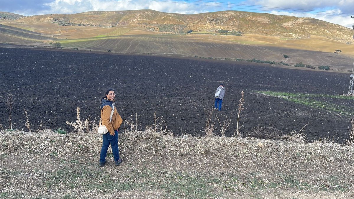 Andrea Visioni tweet media