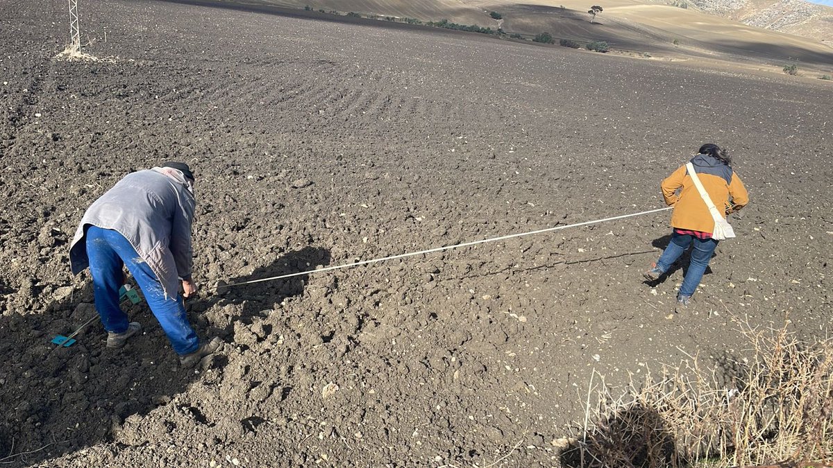 Andrea Visioni tweet media