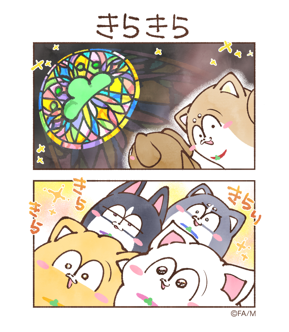 きらきら  #まついぬたいむ #まついぬ