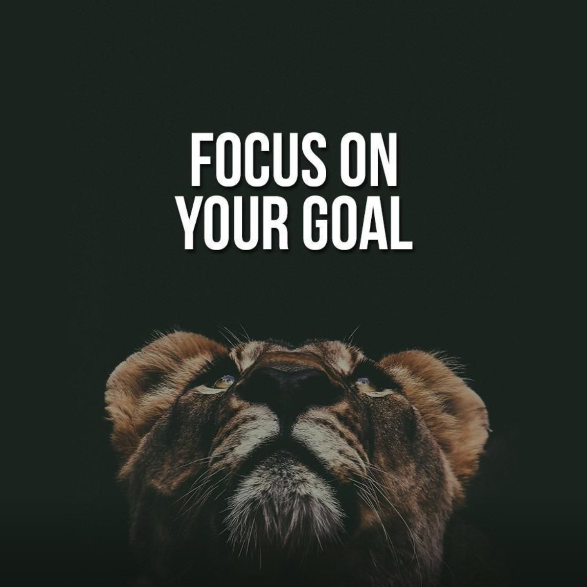 Goal Getter's Guide: 4 Supercharged Ways to Laser-Focus Your Ambition.

#FocusOnGoals#GoalSetting#GoalGetter#AchieveGreatness

Here are four effective ways to focus on your goals: