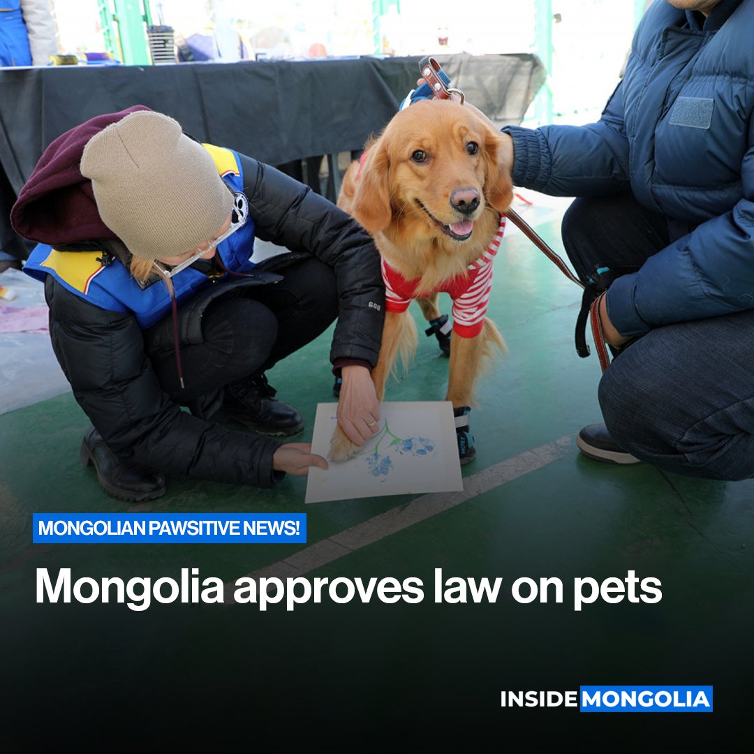 The Parliament approved a brand new Law on Pets that aims to protect public health, ensure responsible pet ownership, and reduce the number of stray animals. 🐾