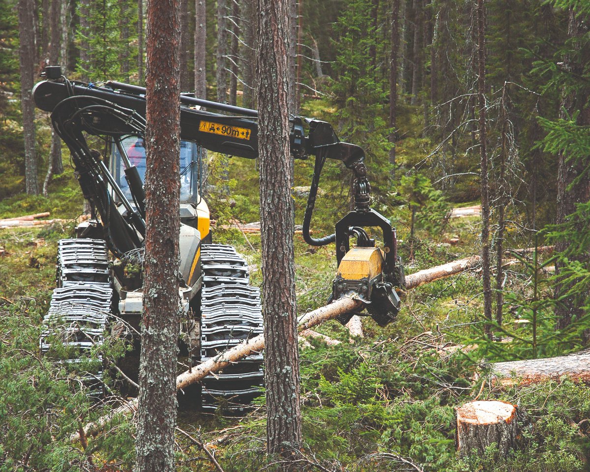 Ge Sveaskog och Statens fastighetsverk i uppdrag att bli föregångare genom att öka tillämpningen av hyggesfria metoder. Det är ett av förslagen som Skogsstyrelsen och Naturvårdsverket tillsammans presenterar för regeringen idag: skogsstyrelsen.se/nyhetslista/st…