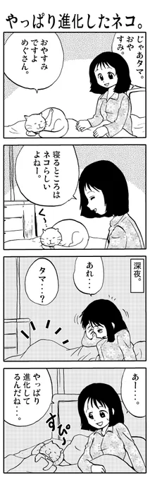 うちのタマが「進化」しました。⑫  ※ 「進化」を証明します。 #猫 #漫画が読めるハッシュタグ