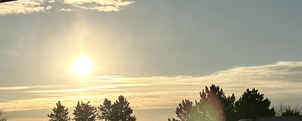 CoachDunnrite's tweet image. The way you start your day, says a lot about your attitude. #gratitude #complaints #faultfinding #criticizing #character #integrity #faith #optimistic #hope