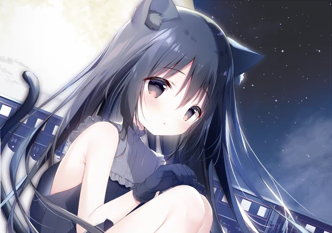 C103新刊 星シロ画集のお知らせ  現在メロンブックス様分がすべて完売したため、 再版を行うことになりました! 近日中に受付再開される予定ですのでお探しの方はよろしくお願いいたします!  さらに…! ソフマップ様での委託も決定しました!  そして、ソフマップ様でも特典をご用意いただけるとのことです…!急遽決まったので後からの情報となり申し訳ございません、続報をお待ちください!  なお、メロンブックス様にて「初版分の特典なし版」をすでにご予約いただいた方には可能な限り、「無償特典A4クリアファイル」を付けていただけることになりました。(※こちらでは対象者がわかりかねるので、該当かどうかはお手数ですがメロンブックス様までお問い合わせいただければと思います。)  どうぞよろしくお願いいたします! #星シロ #C103