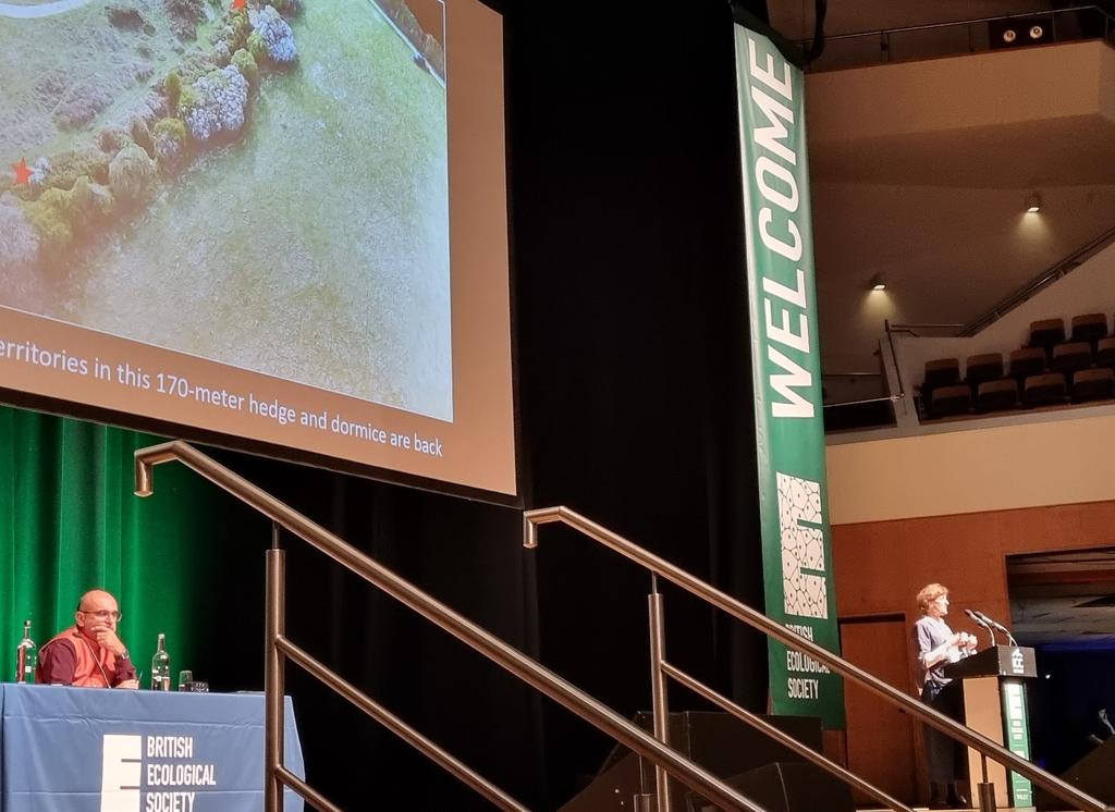 Very interesting to hear Isabella Tree on the Knepp estate, and get a few more insights on this estate that my collegues at @AnthropoceneBio and I had a great time visiting last July. #BES2023