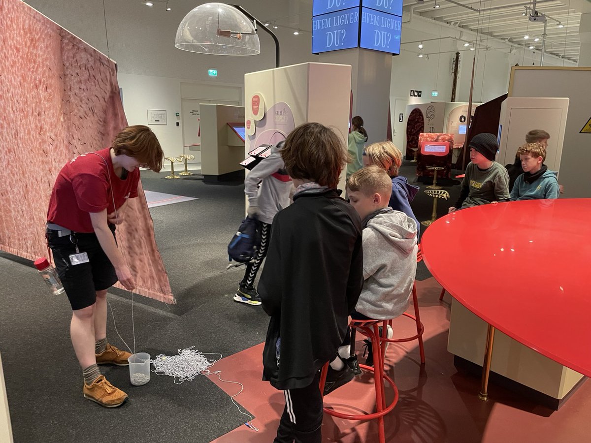 Copenhagen International School tweet media