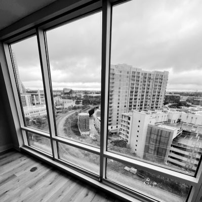 DeliveryLemon's tweet image. #NewProfilePic