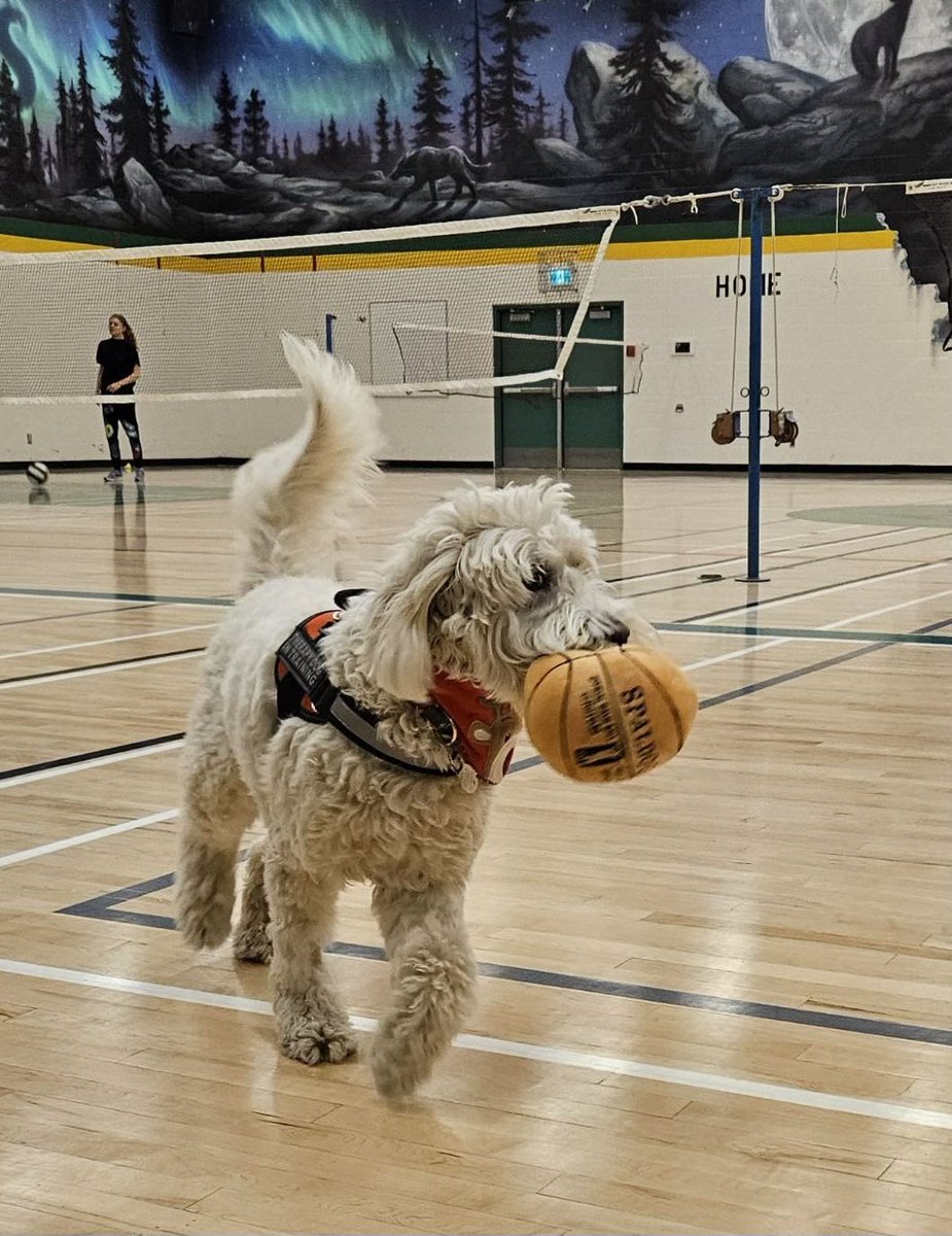 OKLearns tweet media