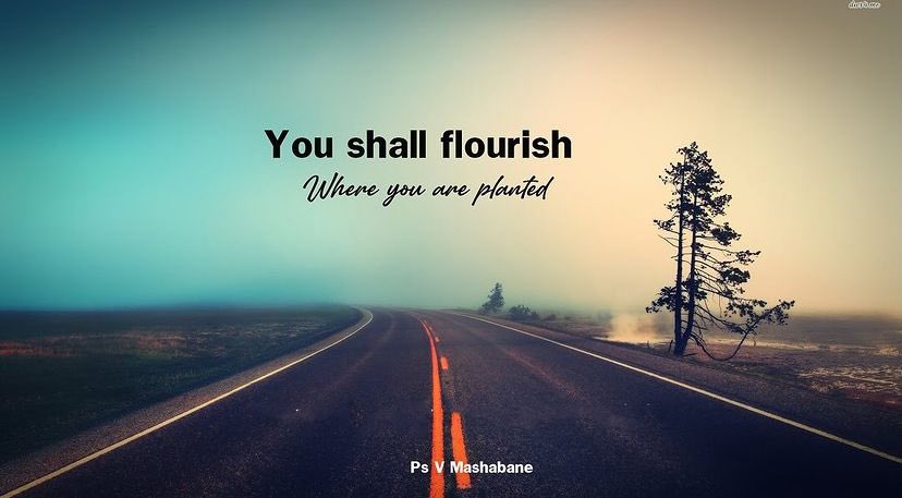 cothplk's tweet photo. Notes & quotes by Ps V
3 December 2023
Sunday Service
COTH PLK
A season to rebuild
Vusi Mashabane,
COTH PLK Lead Pastor | Author | Development Specialist | Life Coach | Leadership Expert | Entrepreneur
@vusimashabane
#church #sunday #vmashabane #cothplk https://t.co/NtdlYu4tAU