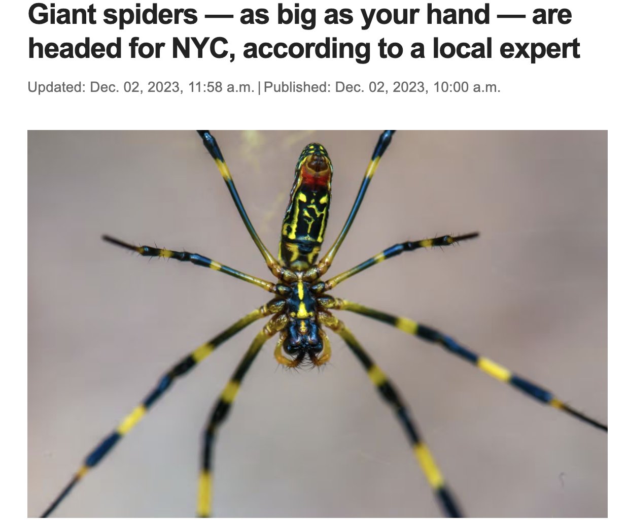 No, you don't need to worry about joro spiders : NPR