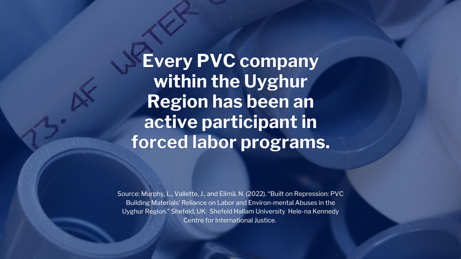 Pvc meaning 2024