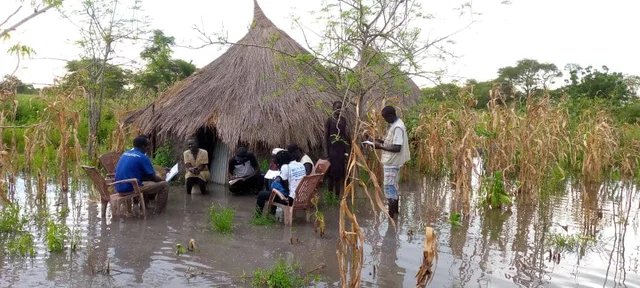 Over half South Sudanese projected to go hungry in 2024: UN l.kphx.net/s?d=6357872295… (From Phoenix APP)