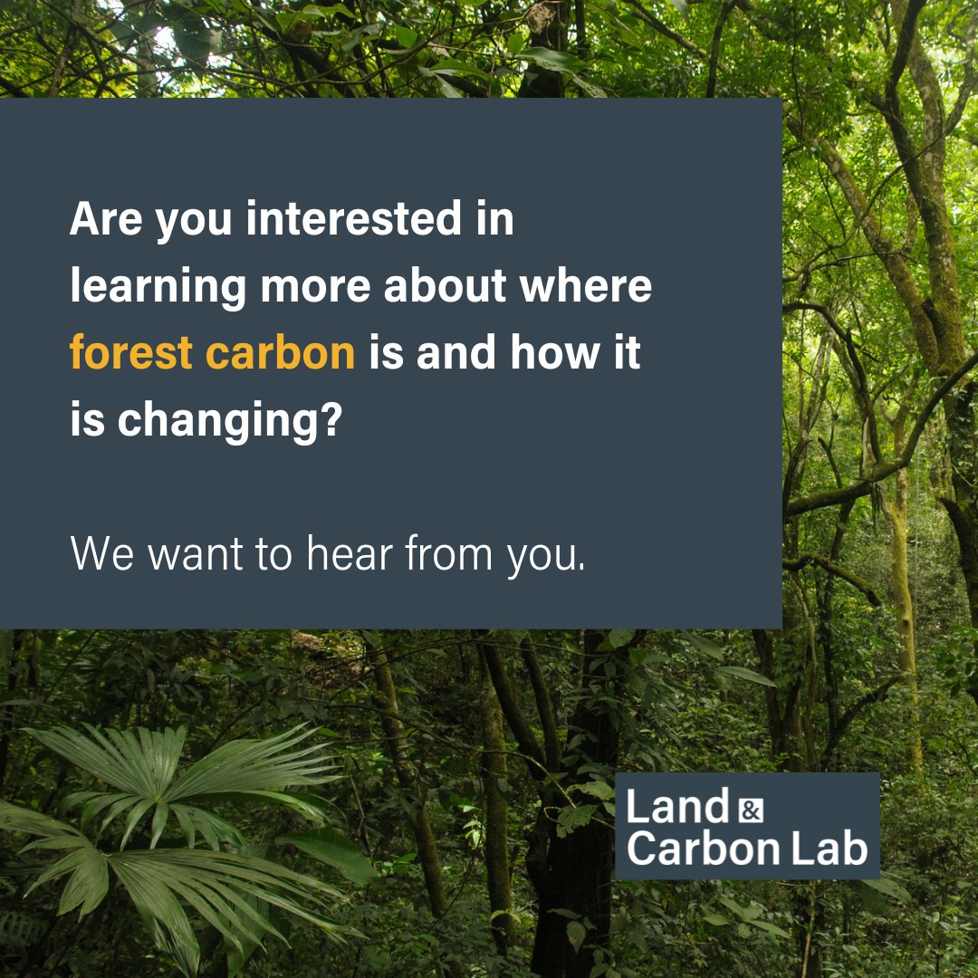 We’re working with @GlobalForests to deliver new forest biomass and carbon data sets. Fill in our survey to let us know how we can make sure this data works for you: bit.ly/3TnEV4N