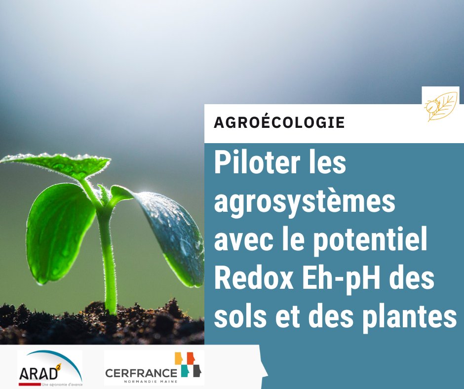 [Agroécologie] Piloter les agrosystèmes en intégrant dans sa réflexion le potentiel redox-pH des sols et des plantes 🌱

Pour en savoir plus : 
➡️normandiemaine.cerfrance.fr/arad2/potentie…

@Cerfrance_sn <a href="/Cerfrance_5372/">Cerfrance Mayenne-Sarthe</a> <a href="/CerfranceOrne/">Cerfrance Orne</a> Cerfrance Normandie Ouest

#agronomy #agroecology