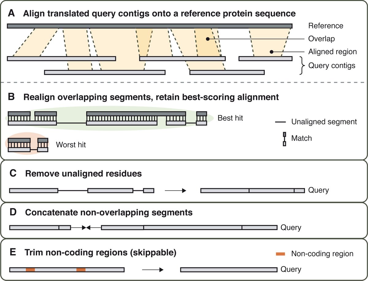 Very happy to see our genome skimming tool Patchwork finally published with @GenomeBiolEvol! The software has been developed by @fethalen and Clara Koehne performed the benchmarking 1/2 academic.oup.com/gbe/advance-ar…