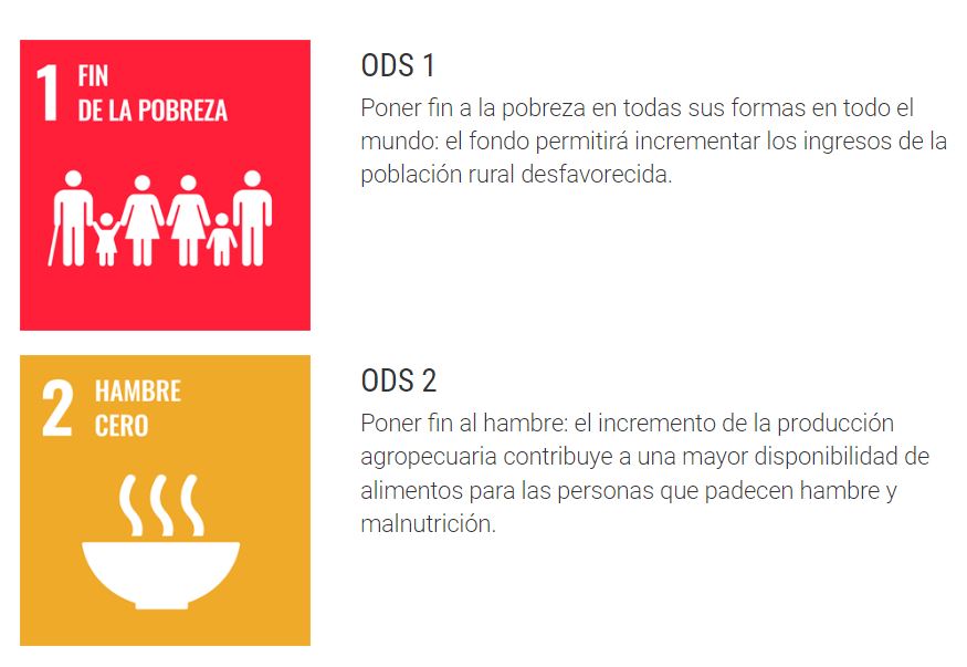 🌾 Mejorando la calidad de vida de los pequeños y medianos productores, nuestras inversiones contribuyen al cumplimiento de los Objetivos de Desarrollo Sostenible de la @ONU_es. 

#ODS1 #ODS2 #GlobalGoals @COFIDES @GAWACapital

👉 fondohuruma.com/presentacion/