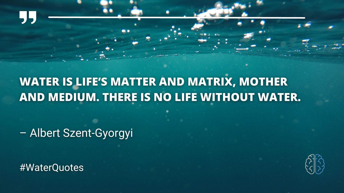 FloatNeuro's tweet image. #NeuroFloat