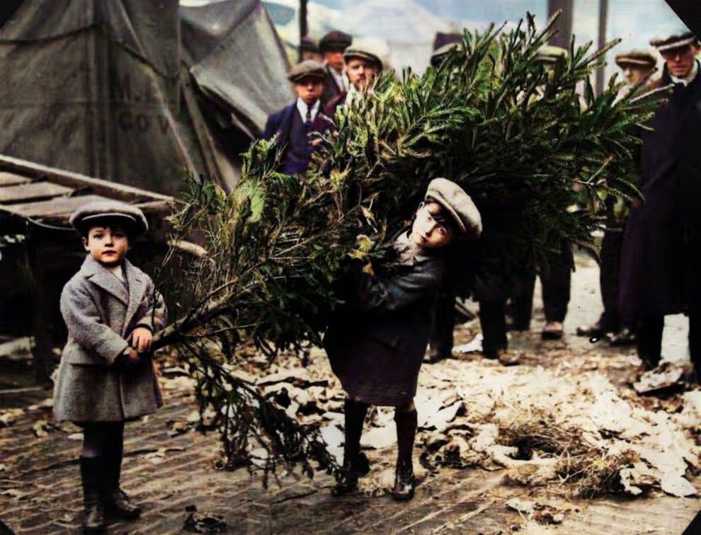 Two little boys drag home their Christmas tree after choosing it at London's Covent Garden Market, c1920. #christmas #christmastree #coventgardenmarket #coventgarden #thetwenties #the20s