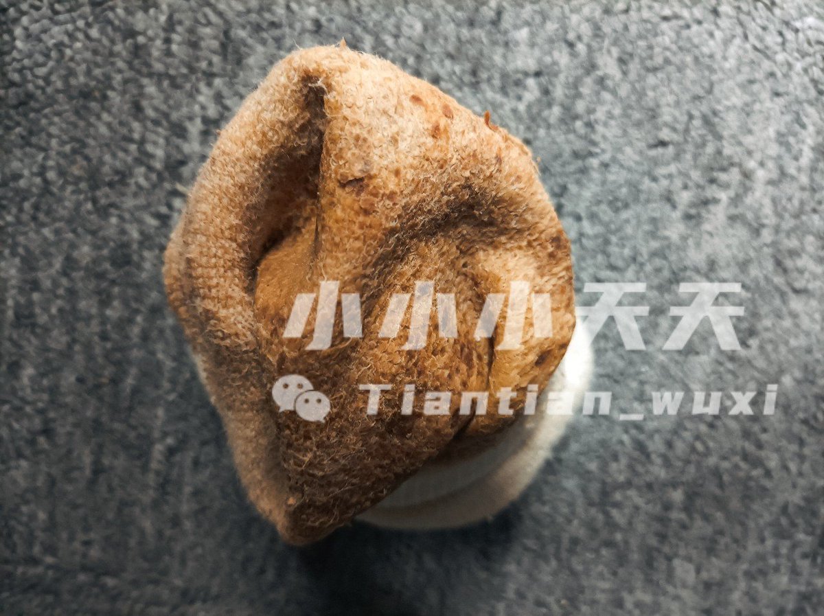 TiantianWuxi's tweet photo. 把脏臭运动袜塞在嘴里
把脸埋在几个月没换的臭袜里
黏糊糊的袜子套在J上
几个月的雄臭骚味扑面而来

搞个免费送活动:截止月底转发评价这条，每满20个人转发抽1人送随机骚内裤一条或臭袜子一双，40人转发送2人，以此类推，运费到付！ https://t.co/wK4Fwe3nXe