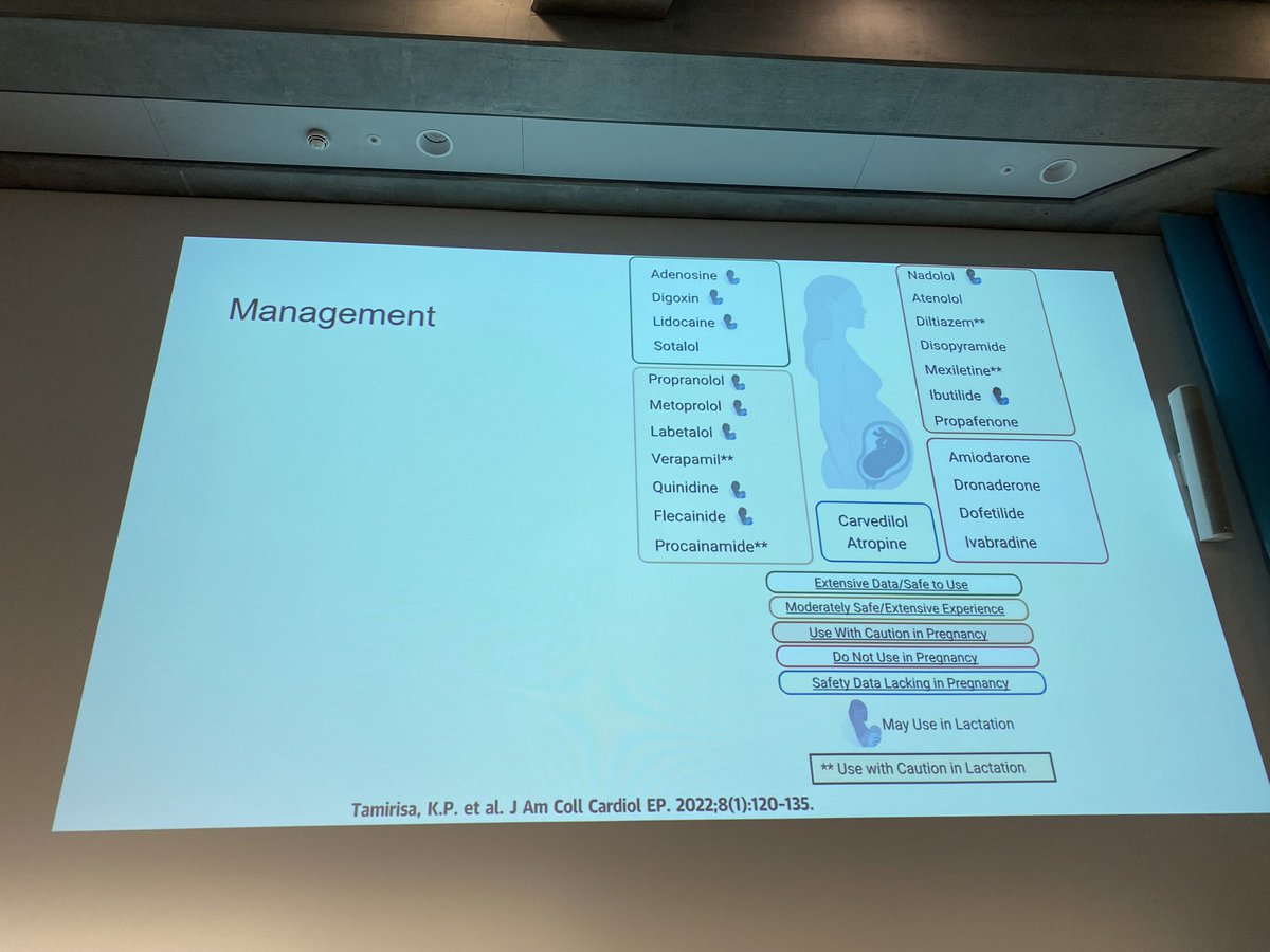 Melanie Nana (@melanie_nana1) on Twitter photo <a href="/DrSiara/">Siara Teelucksingh</a> giving a fantastic overview of palpitations in pregnancy #superproudfriend <a href="/obsmedco/">Obstetric Medicine Company</a> <a href="/DrSiara/">Siara Teelucksingh</a> giving a fantastic overview of palpitations in pregnancy #superproudfriend <a href="/obsmedco/">Obstetric Medicine Company</a>