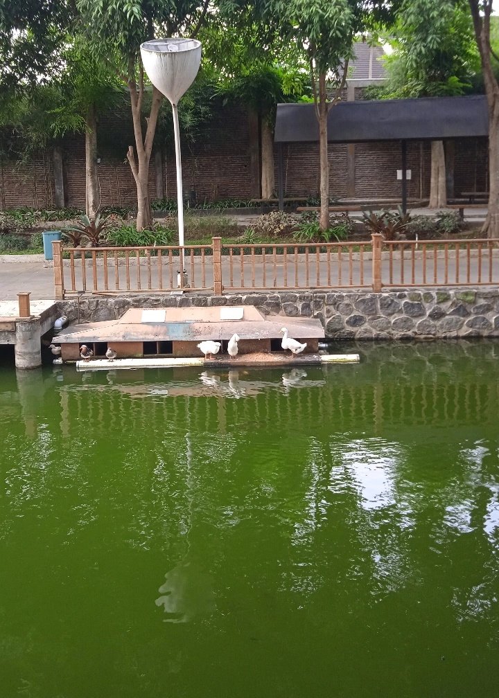 flowleryst's tweet photo. adaa, tp danau buatan di the village pwt😁🫵🏻 https://t.co/4b94RIsvgL