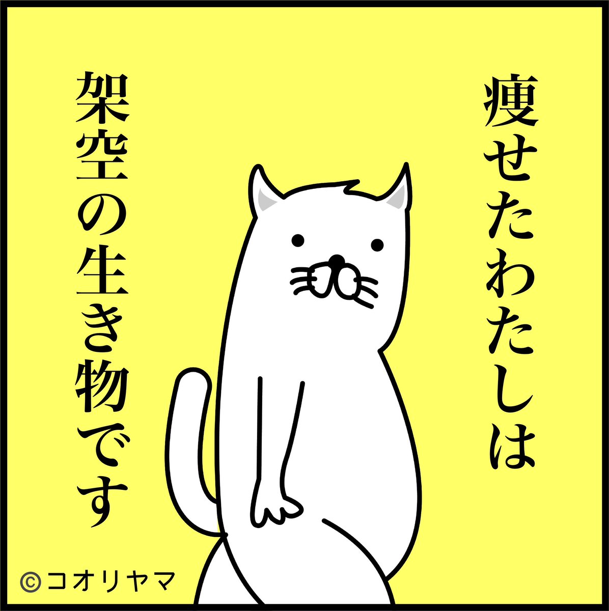 架空パーティが話題ですが、古い言い伝えによる痩せてた頃の私は架空の生き物だったんじゃないかと思っています…。