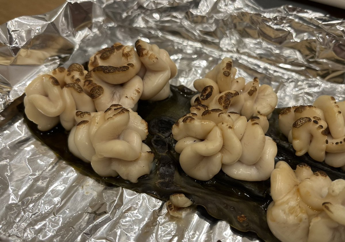 ROAD_ONOKA_'s tweet photo. 白子の昆布じめ焼🥺おうち居酒屋最高… https://t.co/pK82TtkMqn