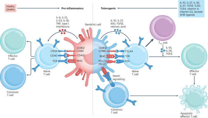 Nature Rev Immunol tweet media