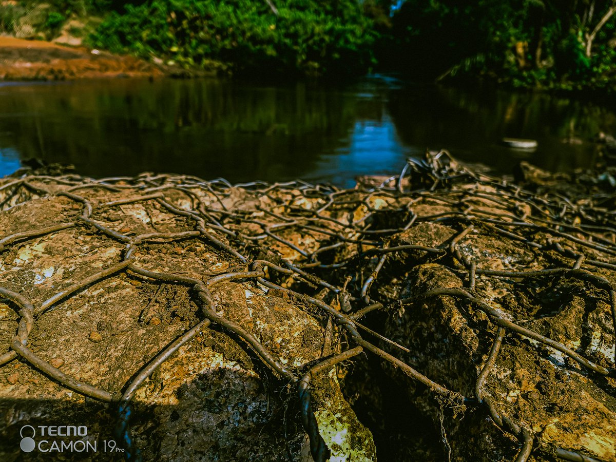 Zak The Great Soul 👑 tweet media