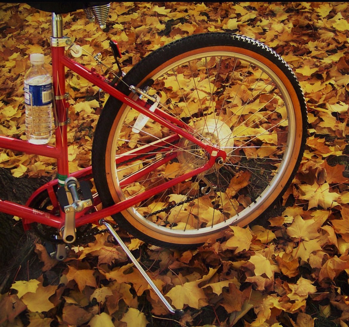 r_fototkr's tweet photo. Morning!
#schwinn #nyredbike #dontdruganddrive #AutumnVibes #bicycle #remembertohydrate #red https://t.co/dPll6Vzy1a