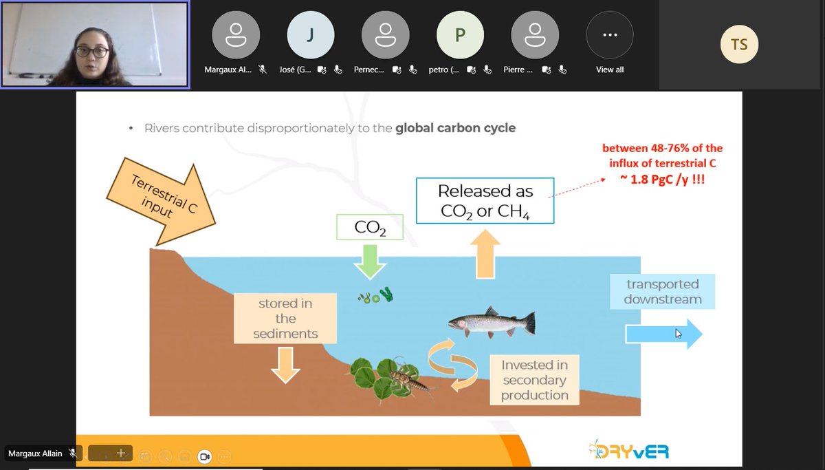 Great webinar talks today from @NaiaraLopezRojo and @RubndelCampo about ecosystem functioning in drying river networks! @DRYvER_H2020 @EcoFlowS