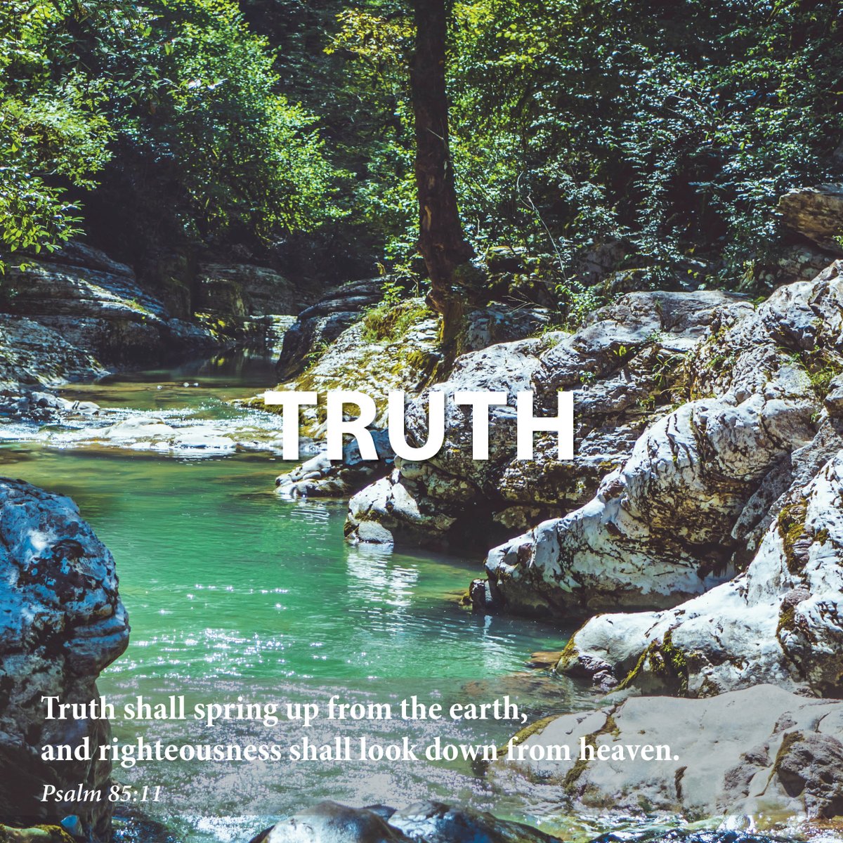 TRUTH

There are, in the Psalter, over a dozen references to emet (“truth”), and I believe they are all associated with three parts of the body: the heart, the mouth, and the feet. Take, for example, Psalm 15:1-2. Keep reading: adventword.org