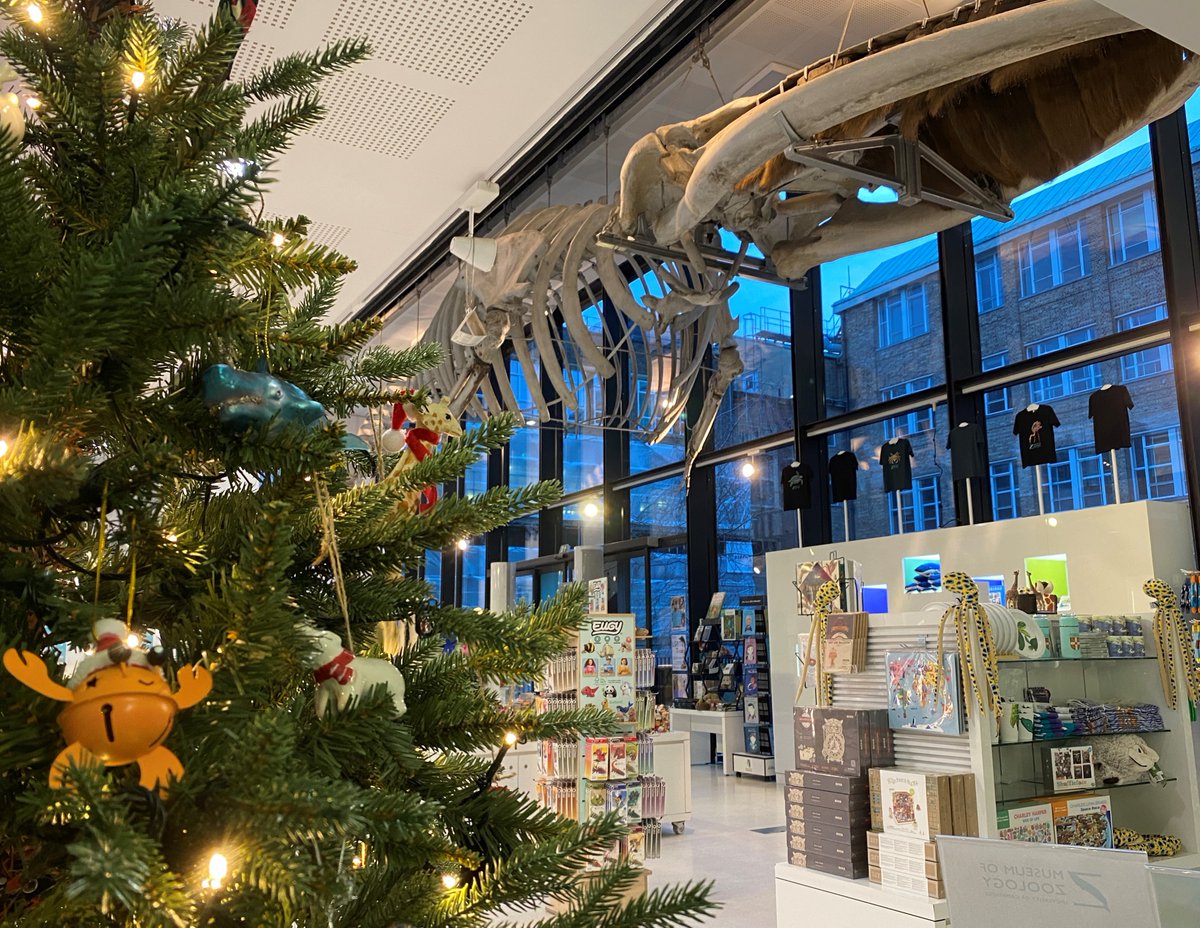 ❄️HOLIDAY OPENING HOURS ❄️ We are open until 4.30pm on Friday 22nd December & then closed until 10am on Tuesday 2nd January 2024. Looking for some zoology fun over the break? There is a wealth of information & craft making ideas on our blog ow.ly/Rss550QhVZq Have fun! 😍