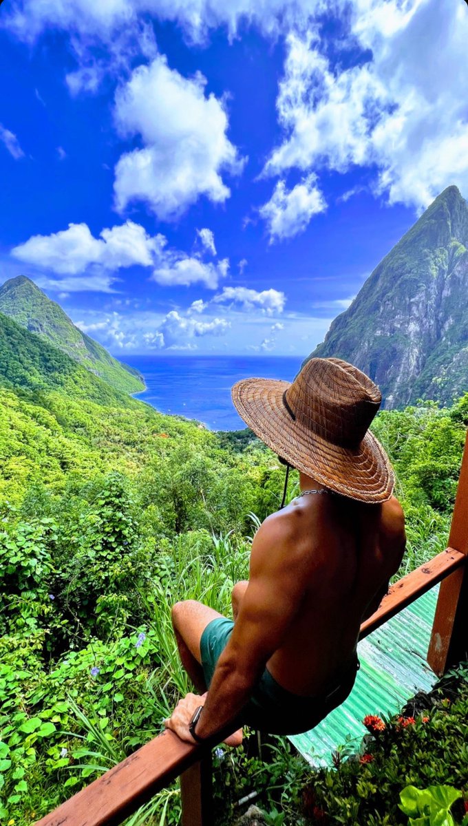 LADERA RESORT tweet media