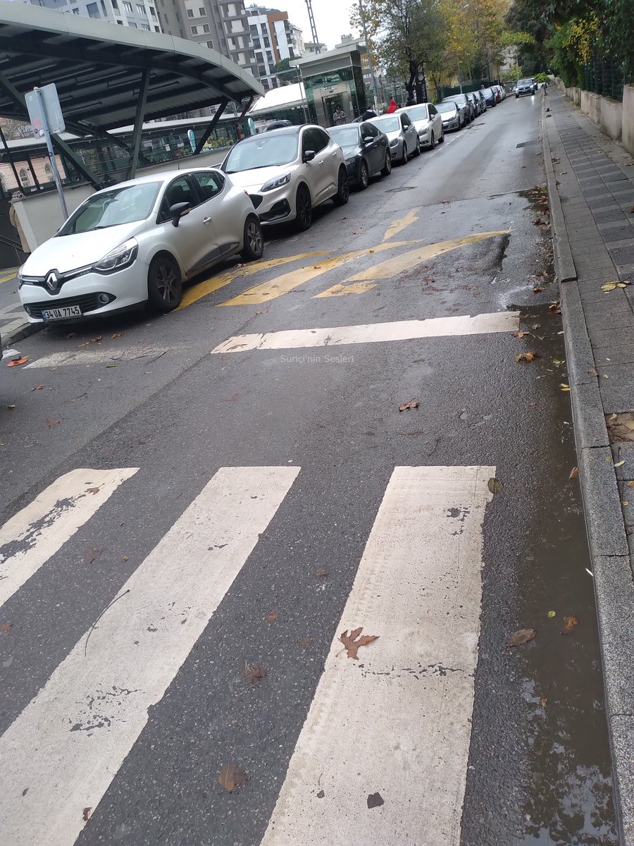 Bu ülkede insanı delirten sayısız detay var ama en sık karşılaştıklarımdan biri, yaya geçidine yaklaşınca yavaşlamayacağı bilinen kent hanzolarını yavaşlatmak için mecburiyetten uygulanan geniş kasisler. Tonla mikropla bir arada yaşadığımızı insanın yüzüne haykırıyor adeta.