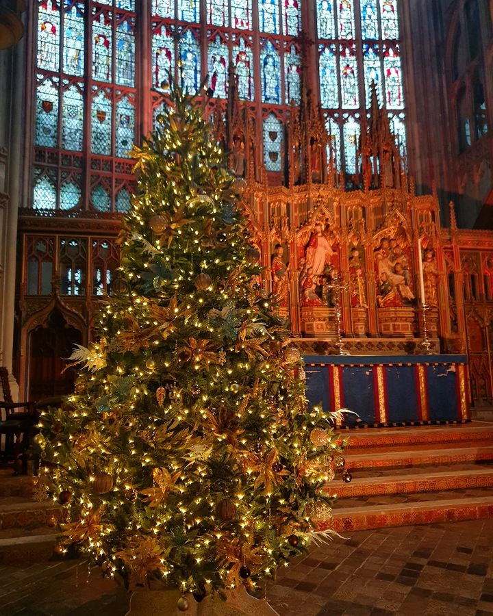 Thank you to @ travel.loz88  for letting us share this fantastic festive photo of @gloscathedral  😍🎄

Which festive events are you most looking forward to this December?

Share them with us 👇

#ChristmasEvents #GloucestershireChurches #ExploreChurches
