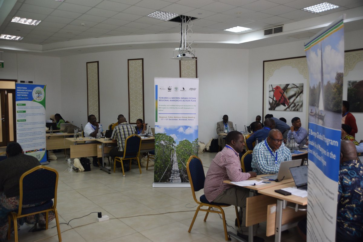 At the RPAG meeting in Mombasa, our primary objective is to intricately craft the draft of the Regional Mangrove Action Plan (RMAP) document. Collaborative efforts among teams comprising WIO mangrove experts, policymakers, and managers are underway to achieve this pivotal goal.