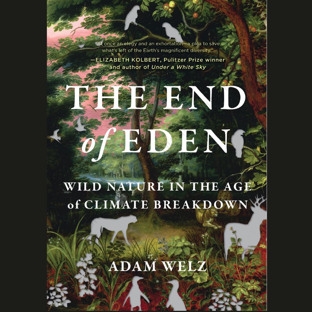AUCTION ALERT
A NEW YORKER BEST BOOKS OF 2023 PICK!​
Open @AdamWelz's The End of Eden to experience the churn and crumble of  climate breakdown from the perspective of creatures such as  yellow-billed hornbills, moose and bottlenose dolphins. 1/5