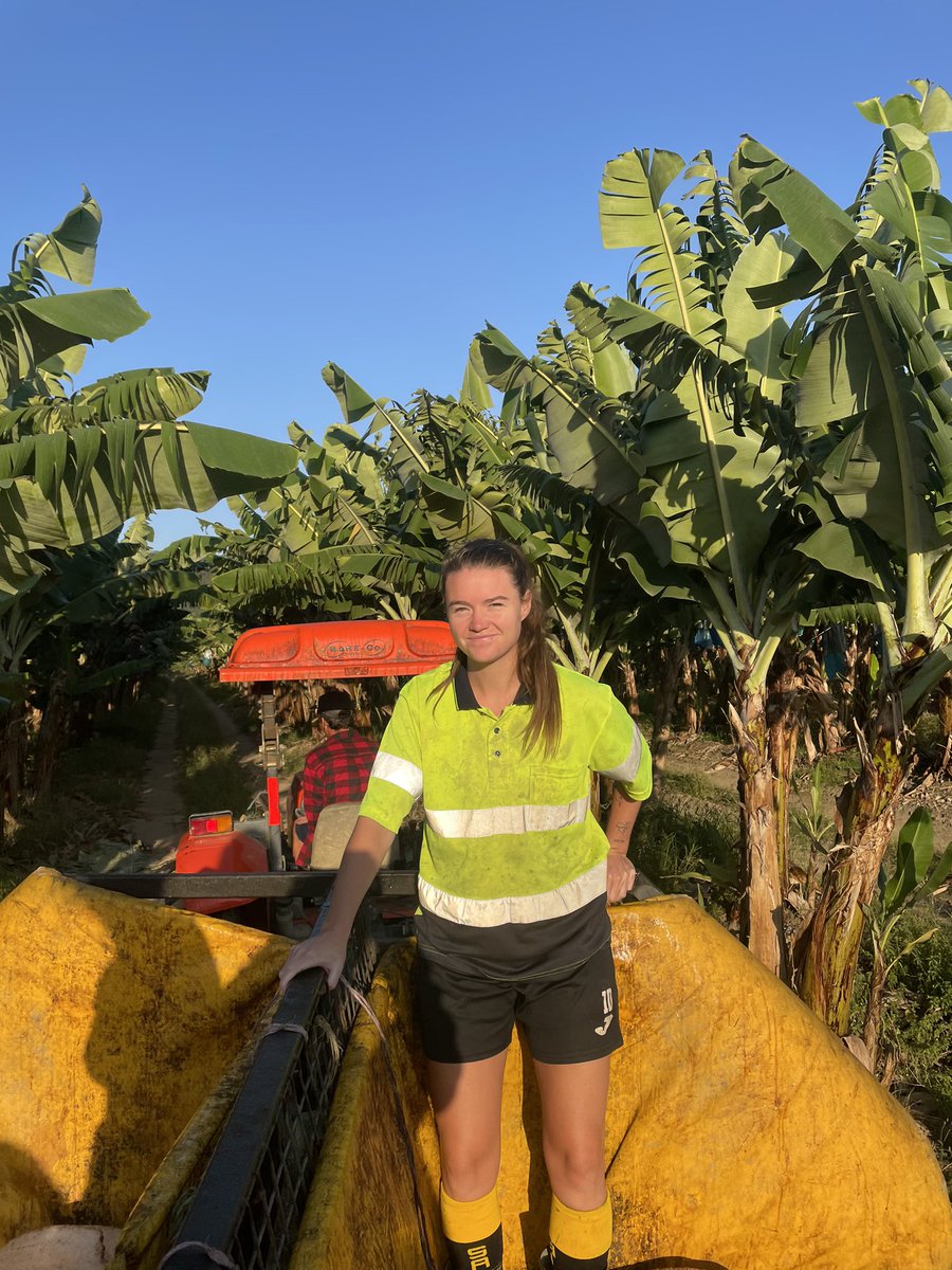 88 days farm work complete, second year working holiday Visa secured - looking to start working in Sydney come January - anyone want to hire me I’d love you forever ☺️