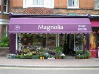 💐🎤 Our very special guest on today’s Working Lunch show is Helen from Magnolia florist in Tring. She’ll be chatting to James about all things flowers from noon, join the conversation! #herts #bucks #beds #localradio #tringradio #business #keepitlocal #florist