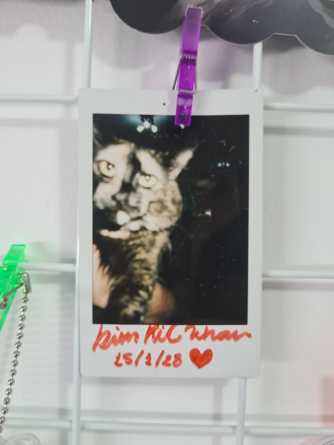 a polaroid picture of pipi, a tortoiseshell cat, with the date written on the picture: january 28th, 2015. she's staring straight at the camera, being held up in my arms. she has markings on her forehead that looks like long and weird eyebrows.