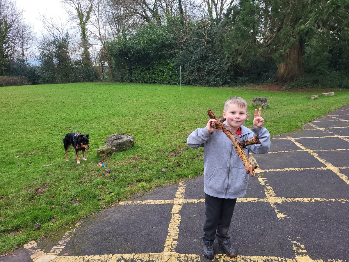 Taliesin the School Dog is a big fan of this little boy who willtalk to Tal & throw a ball for him for as long as he can! Tal isn't sure why the boy thinks that 'stick' is appropriate for either of them though... the ball is here... see? #SchoolDog #WellbeingMatters @EAS_Equity