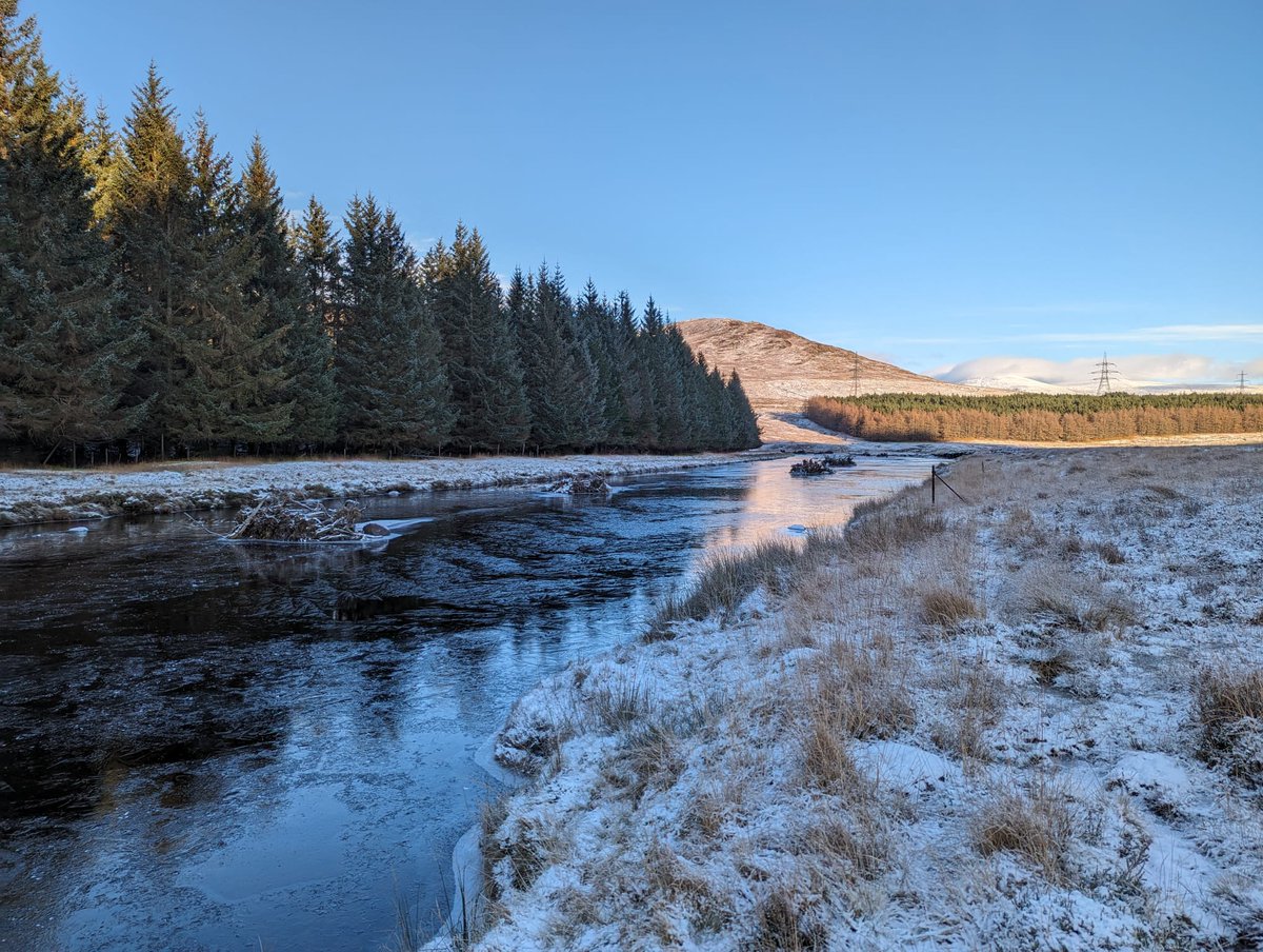 Redd counts within the @SpeyCatchment Initiatives Upper Spey River Restoration Project show a small increase in redds along this stretch, from 2 last year to 6 this year. Let's hope this trend continues as this habitat continues to improve for both spawning and juvenile salmon.