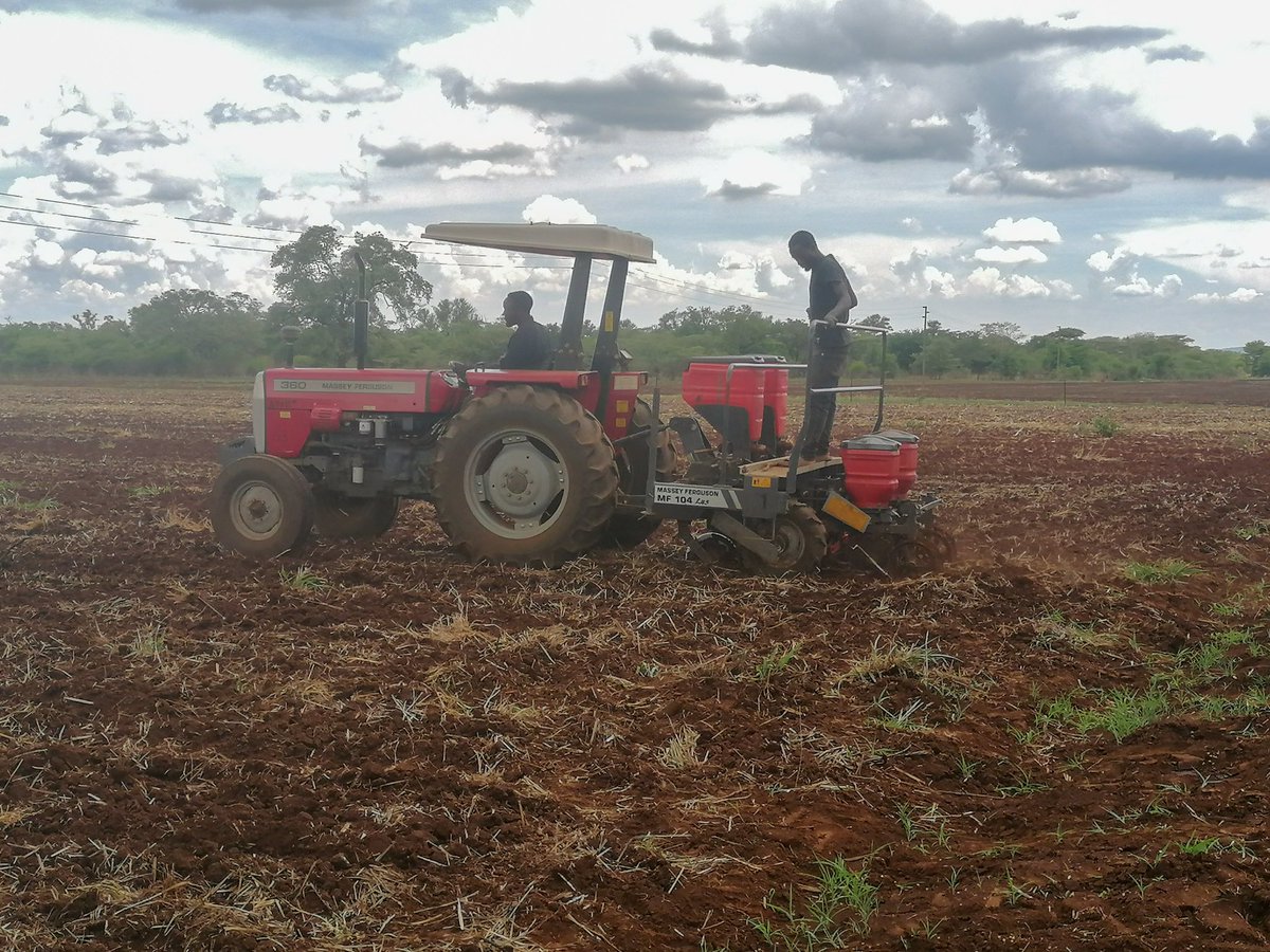 #Planting in progress at the #RAINES_Project under way. 3 plots are being planted using MCA principles while 1 plot is being planted by hand using foundations of farming principles.