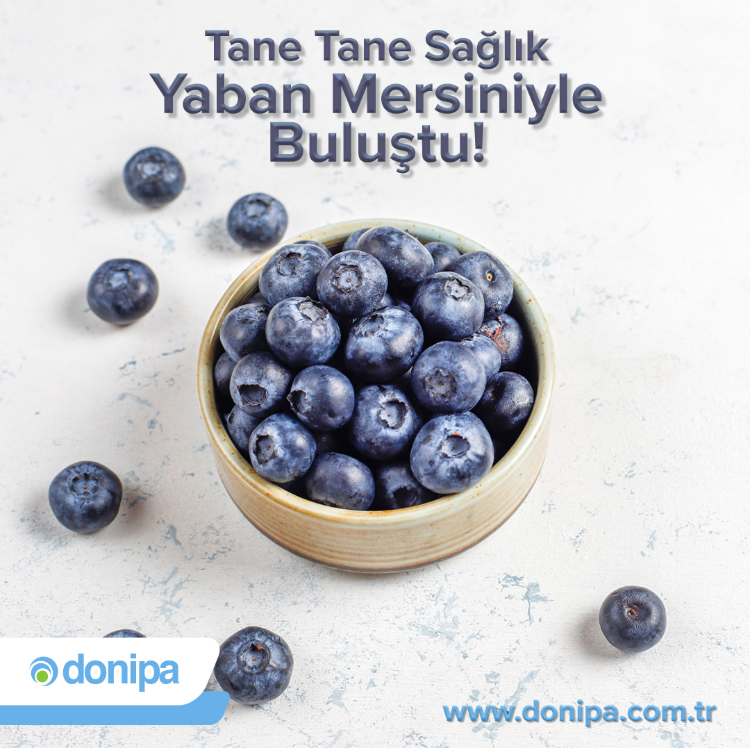 Tane Tane Sağlık, Yaban Mersiniyle Buluştu! donipa.com.tr #küppatates #donipa #donipagıda #dondurulmuş #dondurulmuşgıda #lezzet #tat #sağlık #güven #besin #sağlıklıbeslenme #sebze #meyve #taze #vegetables #fresh #nutritional #fruits